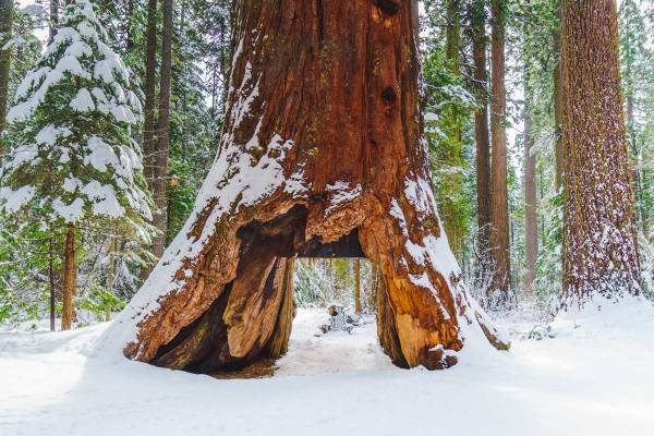 Arnold Ca Area Info Sierra Vacation Rentals